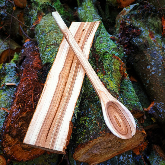 a cooking spoon carved from bird cherry with a very definitive definition between the heart and sap wood, resting on the other half of the log from which it was carved