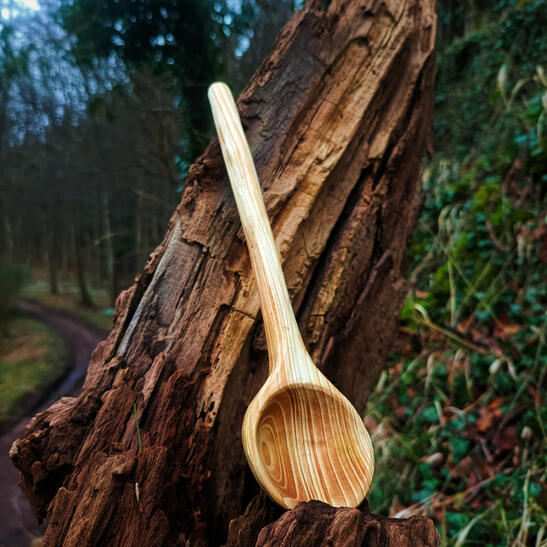 a circular straight measuring spoon rests on a decaying log with a woodland path visible in the distant background